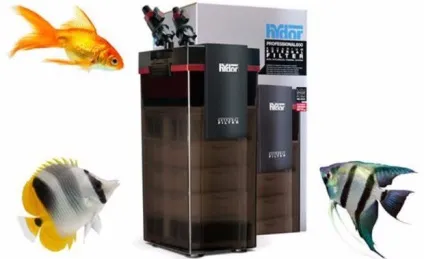 Фільтр для акваріума опис, види, призначення, критерії вибору (фільтр для води в акваріум) Фільтр для акваріума опис, види, призначення, критерії вибору