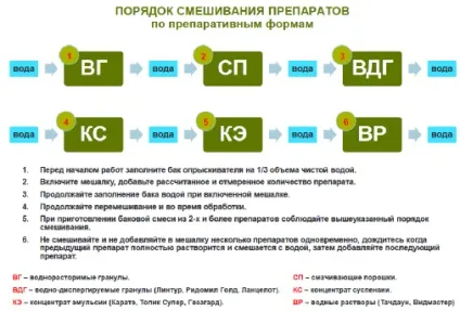 Фаза «кущіння - вихід в трубку», syngenta