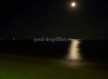 Флористичний пейзаж своїми руками (флористичний) Флористичний пейзаж своїми руками