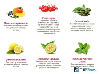 Fitospray - спрей для схуднення ціна, купити фітоспрей (спрей для схуднення) Fitospray - Спрей для схуднення ціна, купити фітоспрей