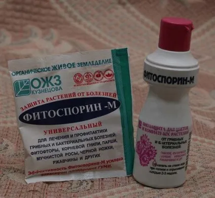 Фітоспорін опис і застосування, світ садівництва (Фітоспорін препарат город рослини застосування обробка рослин хвороби) Фітоспорін опис і застосування, світ садівництва