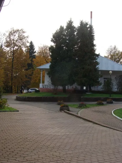 Філія, ДГКБ св
