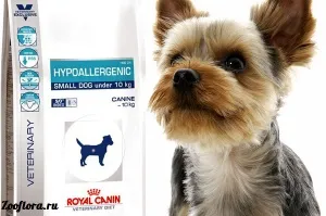 Гіпоалергенний корм для маленьких собак роял Канін (royal canin hypoallergenic) - харчування і корм (собак) Гіпоалергенний корм для маленьких собак роял Канін (royal canin hypoallergenic) - харчування і корм