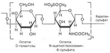 Глікозаміноглікани (мукополісахариди)
