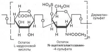 Глікозаміноглікани (мукополісахариди)