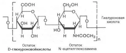 Глікозаміноглікани (мукополісахариди)