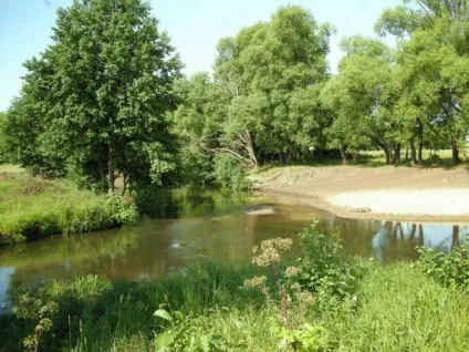 Головні річки Татарстану короткий опис, фото