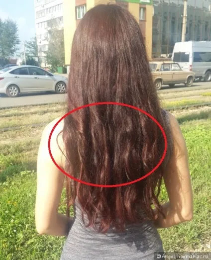 Goldwell - німецька якість для краси слов'янських волосся ♥ (волосся) Goldwell - німецька якість для краси слов'янських волосся ♥