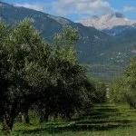 Гора олімп в Греції фото, де знаходиться, карта (гора) Гора олімп в Греції фото, де знаходиться, карта
