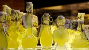 Готуємо лимонний лікер в домашніх умовах (лікер домашніх умовах) Готуємо лимонний лікер в домашніх умовах