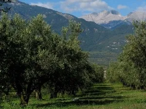 Гора олімп в Греції фото, де знаходиться, карта (знаходиться) Гора олімп в Греції фото, де знаходиться, карта
