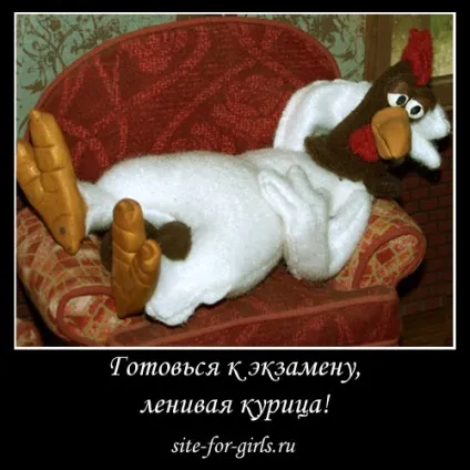 Готуйся до іспиту, лінива курка ...
