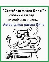 Іграшки для собак своїми руками