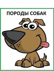 Іграшки для собак своїми руками