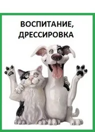 Іграшки для собак своїми руками