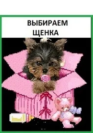 Іграшки для собак своїми руками