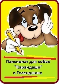 Іграшки для собак своїми руками