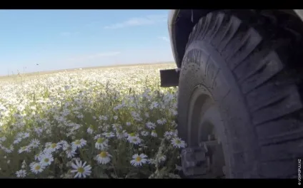 Йде полювання на бабаків (бабаків) Йде полювання на бабаків