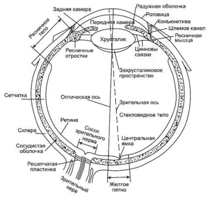 Ігор Медведєв - наука - про очі як повернути пильність (медведев) Ігор Медведєв - наука - про очі як повернути пильність