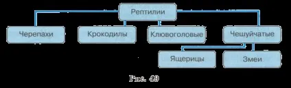 Інформаційні моделі на графах