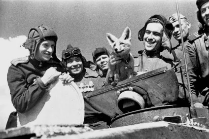 Цікаві факти про танки