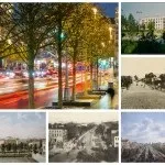 Історія московського зоопарку і звіринців в москві (зоопарку) Історія московського зоопарку і звіринців в москві