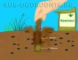 Використання компосту