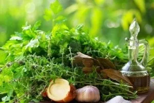 Історія лікування травами на руси, український дім (лікування) Історія лікування травами на руси, український дім