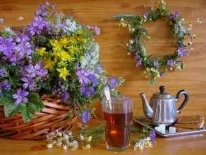 Історія лікування травами на руси, український дім (лікування) Історія лікування травами на руси, український дім