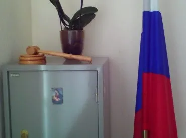Позовна заява про визнання права на спадщину (спадщина) Позовна заява про визнання права на спадщину