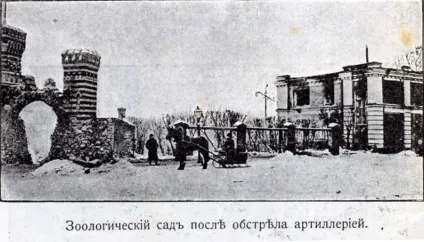 Історія московського зоопарку і звіринців в москві (екскурсії) Історія московського зоопарку і звіринців в москві