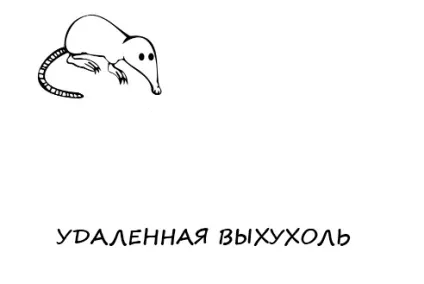 З життя хохуль, netlore лепра, хохуля, тварини (хохуля) З життя хохуль, netlore лепра, хохуля, тварини