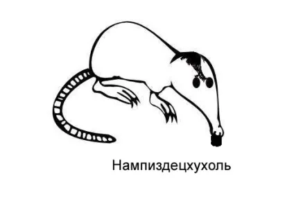 З життя хохуль, netlore лепра, хохуля, тварини (netlore) З життя хохуль, netlore лепра, хохуля, тварини