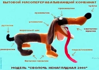 Яка порода собак вам подобається найбільше чому (говорить немовля) Яка порода собак вам подобається найбільше чому