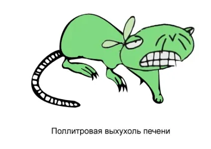 З життя хохуль, netlore лепра, хохуля, тварини (тварини) З життя хохуль, netlore лепра, хохуля, тварини