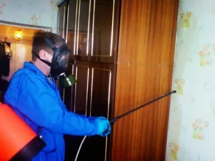 Як швидко вивести клопів в домашніх умовах (позбутися самостійно) (домашніх) Як швидко вивести клопів в домашніх умовах (позбутися самостійно)