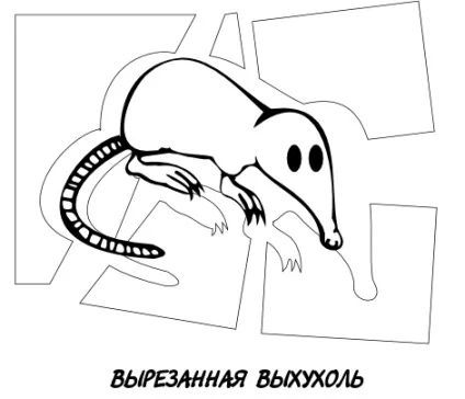 З життя хохуль, netlore лепра, хохуля, тварини (хохуля) З життя хохуль, netlore лепра, хохуля, тварини