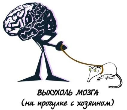 З життя хохуль, netlore лепра, хохуля, тварини (тварини) З життя хохуль, netlore лепра, хохуля, тварини
