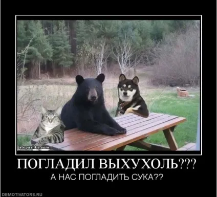 З життя хохуль, netlore лепра, хохуля, тварини (хохуля) З життя хохуль, netlore лепра, хохуля, тварини