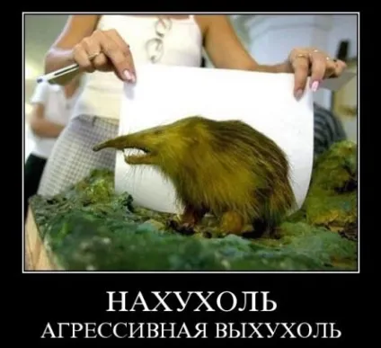 З життя хохуль, netlore лепра, хохуля, тварини (тварини) З життя хохуль, netlore лепра, хохуля, тварини