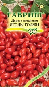 Годжі ягода посадка і догляд в Підмосков'ї, вирощування дерези звичайної з насіння в домашніх
