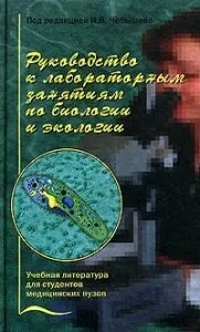 Гольцова пояс
