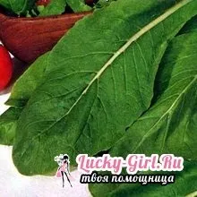 Гірчиця листова вирощування в домашніх умовах (листова) Гірчиця листова вирощування в домашніх умовах