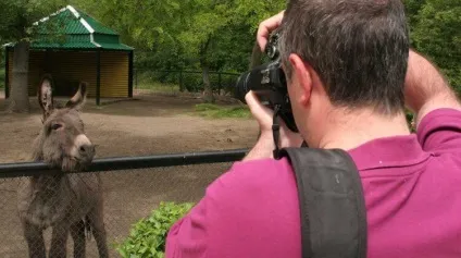 Як доїхати в асканія нова і на що звернути увагу (асканія) Як доїхати в асканія нова і на що звернути увагу