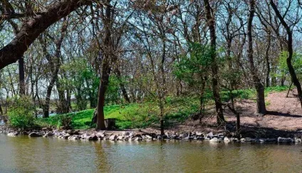 Як доїхати в асканія нова і на що звернути увагу (асканія) Як доїхати в асканія нова і на що звернути увагу