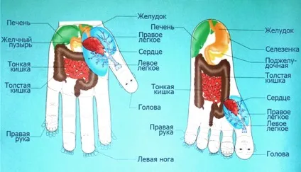 Як і чим лікувати ендометріоз матки і чи можна вилікувати - медикаментозно, хірургічно (лікувати) Як і чим лікувати ендометріоз матки і чи можна вилікувати - медикаментозно, хірургічно