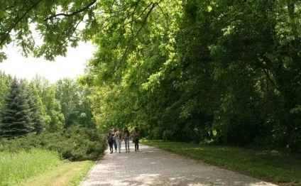 Як доїхати в асканія нова і на що звернути увагу (асканія) Як доїхати в асканія нова і на що звернути увагу