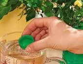 Як виготовити компост в домашніх умовах взимку (виготовити) Як виготовити компост в домашніх умовах взимку