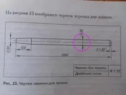 Як і з якого дерева краще всього виготовити держак для лопати (яке дерево) Як і з якого дерева краще всього виготовити держак для лопати