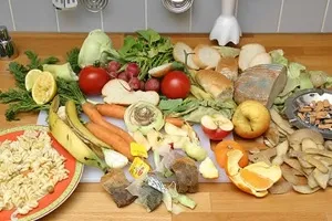 Як виготовити компост в домашніх умовах взимку (взимку) Як виготовити компост в домашніх умовах взимку